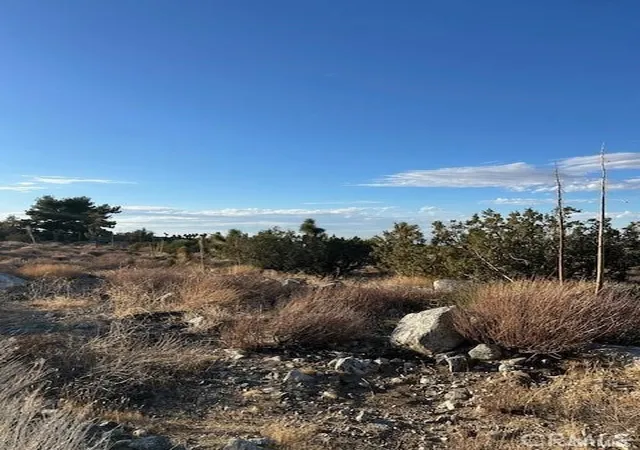 Photo 1 of Land for sale at 0 Yucca, Pinon Hills, CA 92372 | MLS# HD26082296 | Listing updated on 2026-04-16