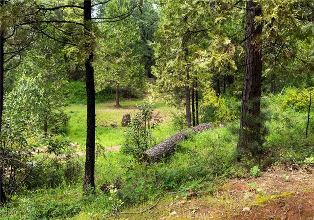 2nd image of 21324 Aqueduct Cir, Pine Grove, CA 95665 | MLS# IV26081017