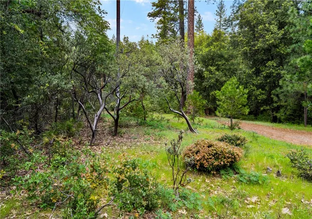 3rd image of 21324 Aqueduct Cir, Pine Grove, CA 95665 | MLS# IV26081017