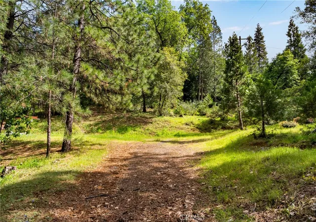 4th image of 21324 Aqueduct Cir, Pine Grove, CA 95665 | MLS# IV26081017