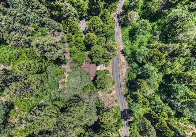 50th image of 425 Blue Jay Canyon, Blue Jay, CA 92317 | MLS# IG26082905