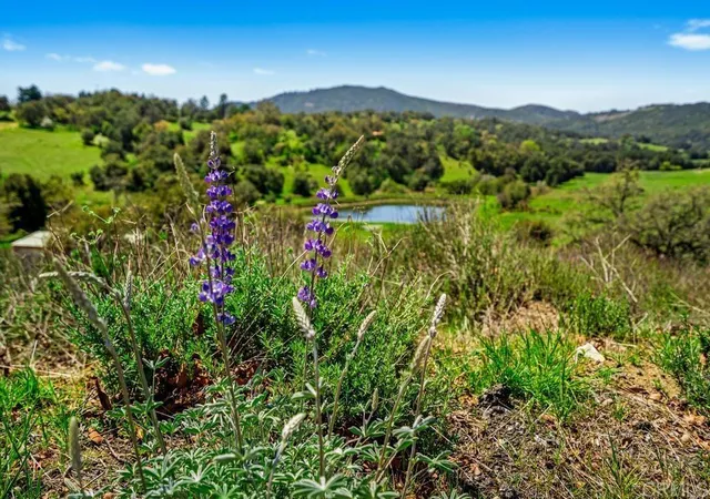Photo 4 of Land for sale at 25677 Mesa Grande Rd, Santa Ysabel, CA 92070 | MLS# NDP2603692 | Listing updated on 2026-04-17