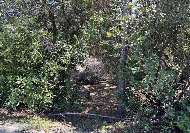 4th image of 12361 Cerrito, Clearlake Oaks, CA 95423 | MLS# LC26083221