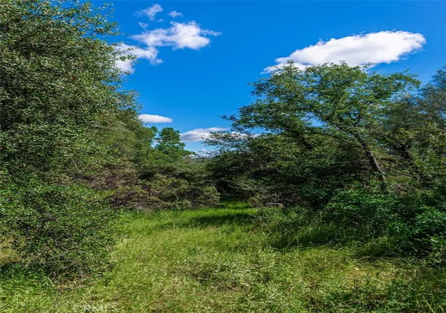 Photo 3 of Land for sale at 0 W Sandra Ln, Oroville, CA 95966 | MLS# LC26083136 | Listing updated on 2026-04-17