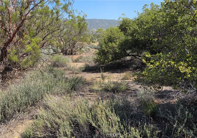 1st image of 56941 Cain, Anza, CA 92539 | MLS# SW26082457