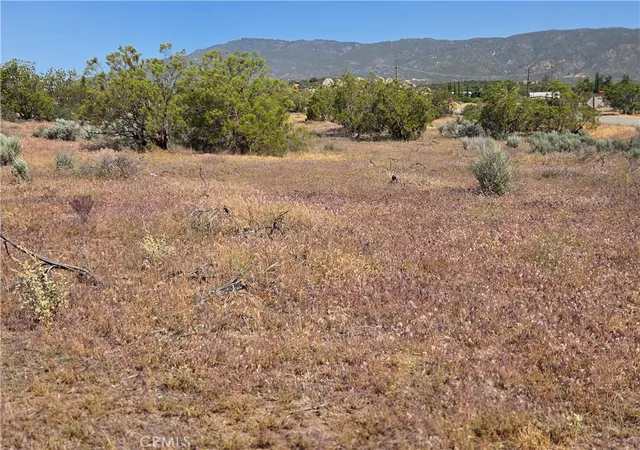 2nd image of 56941 Cain, Anza, CA 92539 | MLS# SW26082457