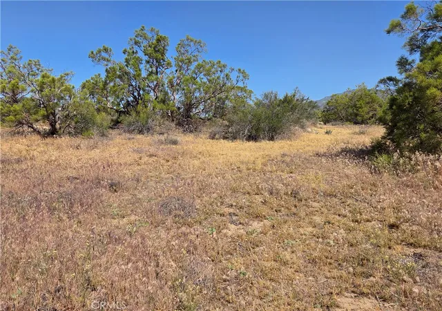 4th image of 56941 Cain, Anza, CA 92539 | MLS# SW26082457