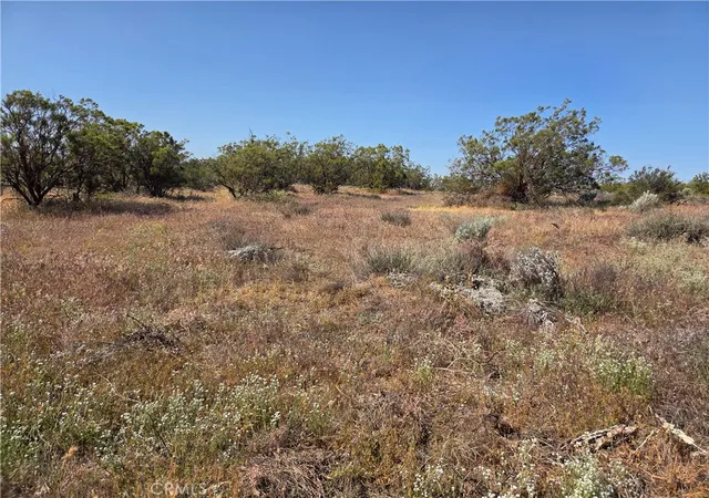 5th image of 56941 Cain, Anza, CA 92539 | MLS# SW26082457