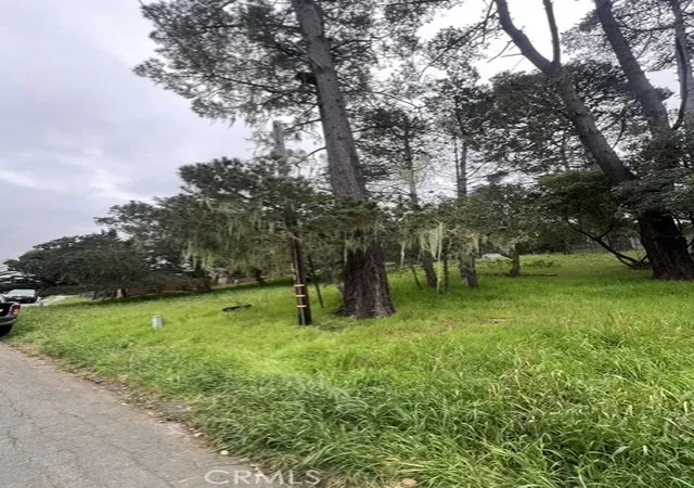 Homes for sale in Cambria, CA | 0 Mills, Cambria, CA 93428 | MLS# NS26083410