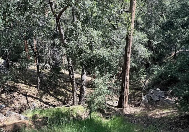 Photo 2 of Land for sale at 25235 Nestwa Trl, Idyllwild, CA 92549 | MLS# 219146591DA | Listing updated on 2026-07-10