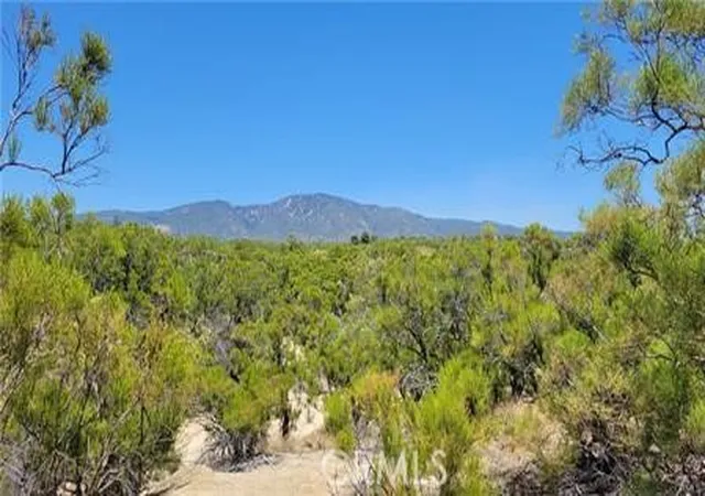 3rd image of 0 Glenda Ln, Anza, CA 92539 | MLS# SW26077460