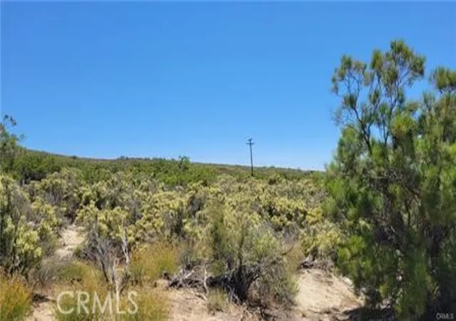 4th image of 0 Glenda Ln, Anza, CA 92539 | MLS# SW26077460