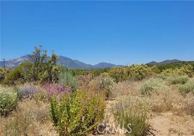 5th image of 0 Glenda Ln, Anza, CA 92539 | MLS# SW26077460