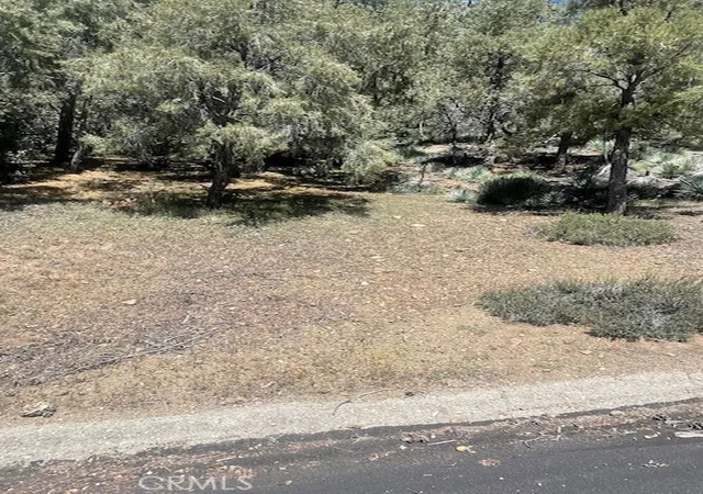 Photo 2 of Land for sale at 2165 Tyndall, Pine Mountain Club, CA 93222 | MLS# SR26079928 | Listing updated on 2026-04-18