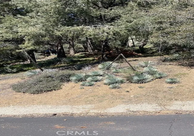 Photo 3 of Land for sale at 2165 Tyndall, Pine Mountain Club, CA 93222 | MLS# SR26079928 | Listing updated on 2026-04-18