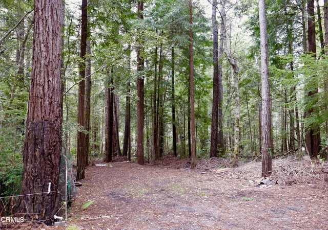Homes for sale in Little River, CA | 33100 Frog Pond Rd, Little River, CA 95456 | MLS# C1-11352