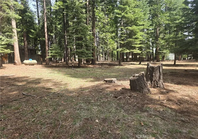 5th image of 716 Conifer, Lake Almanor Peninsula, CA 96137 | MLS# SN26084021