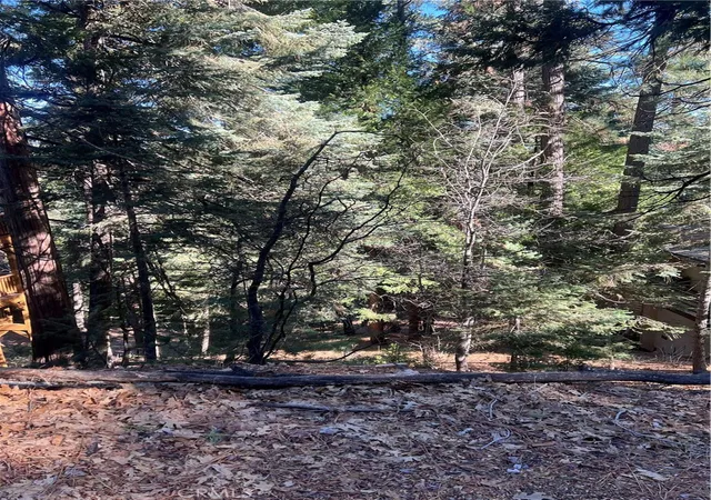 Homes for sale in Twin Peaks, CA | 0 Forest, Twin Peaks, CA 02391 | MLS# IG26084160