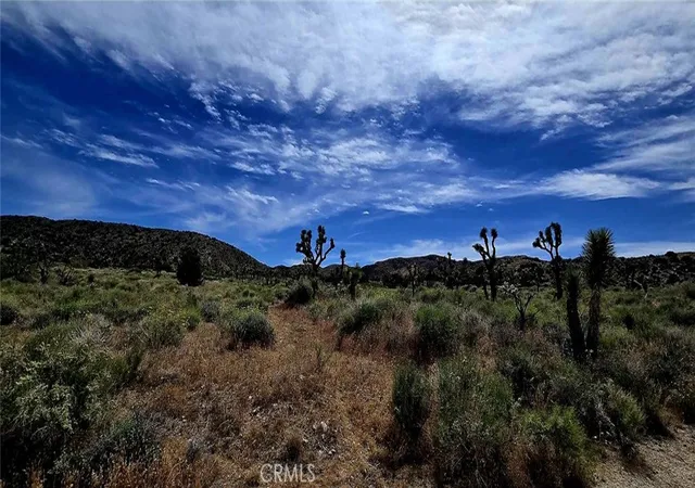 Homes for sale in Littlerock, CA | 8900 Bainard Canyon Rd, Littlerock, CA 93550 | MLS# DW26084505