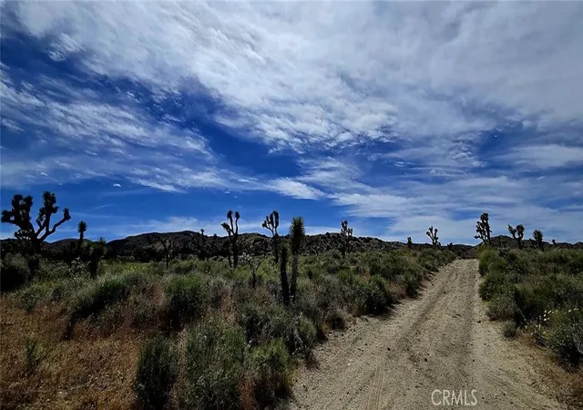 Photo 3 of Land for sale at 8900 Bainard Cyn Rd, Littlerock, CA 93550 | MLS# DW26084505 | Listing updated on 2026-09-01
