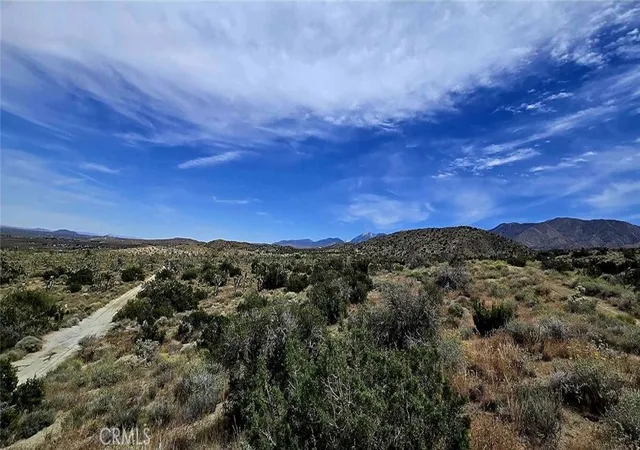 Photo 4 of Land for sale at 8900 Bainard Cyn Rd, Littlerock, CA 93550 | MLS# DW26084505 | Listing updated on 2026-09-01