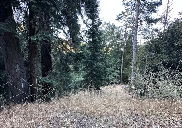 Homes for sale in Cedarpines Park, CA | 0 Fir, Cedarpines Park, CA 92322 | MLS# ND26084576