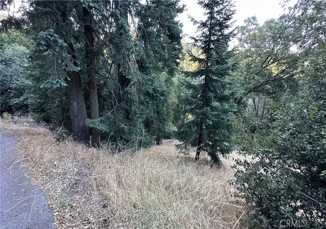 Homes for sale in Cedarpines Park, CA | 0 Fir, Cedarpines Park, CA 92322 | MLS# ND26084576