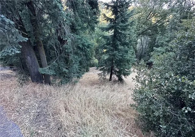 Homes for sale in Cedarpines Park, CA | 0 Fir, Cedarpines Park, CA 92322 | MLS# ND26084576
