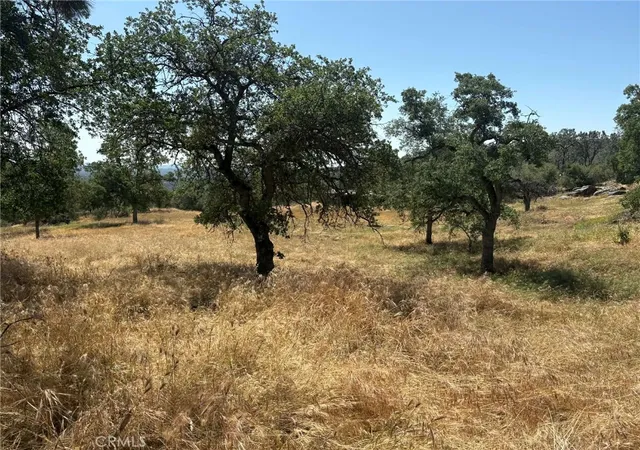 4th image of 0 Lilley Mountain, Coarsegold, CA 93614 | MLS# FR26081846