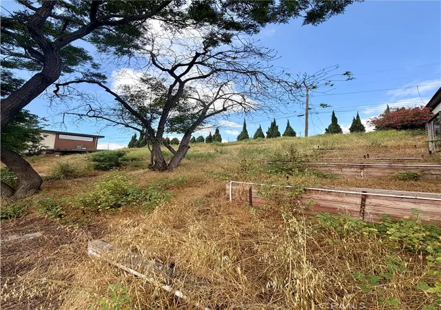5th image of 621 Etta St, Mount Washington, CA 90065 | MLS# GD26086271