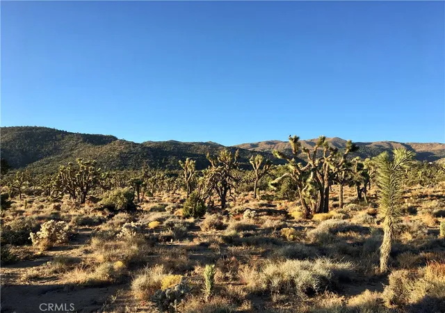 1st image of 26 Vista Rd, Pioneertown, CA 92356 | MLS# JT26086455