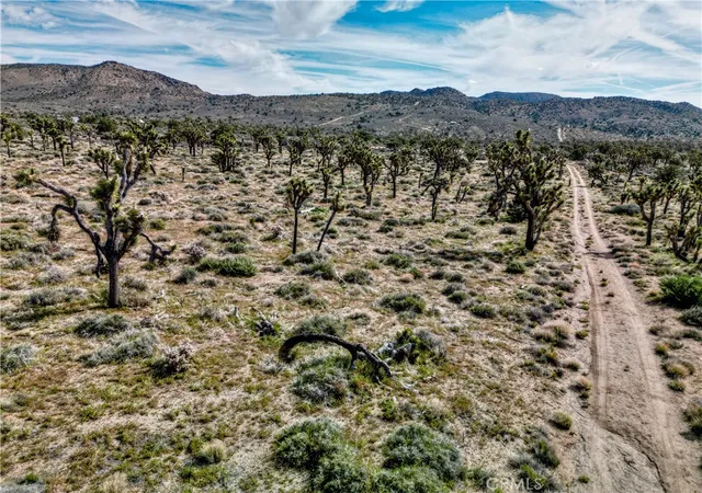 2nd image of 26 Vista Rd, Pioneertown, CA 92356 | MLS# JT26086455