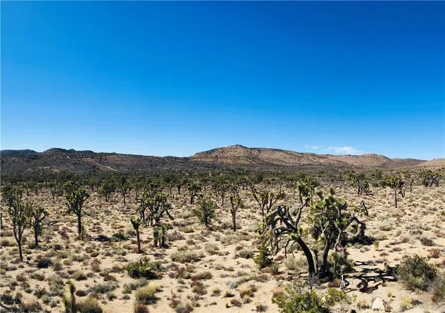 3rd image of 26 Vista Rd, Pioneertown, CA 92356 | MLS# JT26086455
