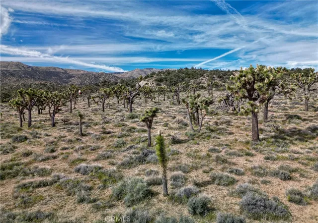 4th image of 26 Vista Rd, Pioneertown, CA 92356 | MLS# JT26086455