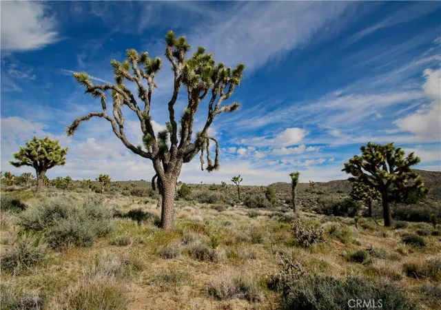 5th image of 26 Vista Rd, Pioneertown, CA 92356 | MLS# JT26086455