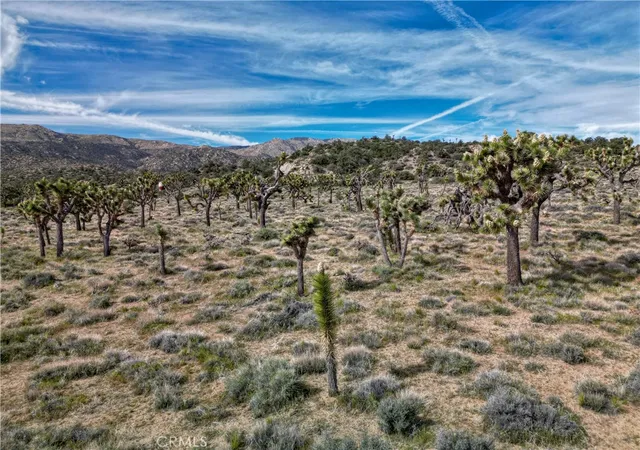 3rd image of 27 Vista Rd, Pioneertown, CA 92356 | MLS# JT26086481