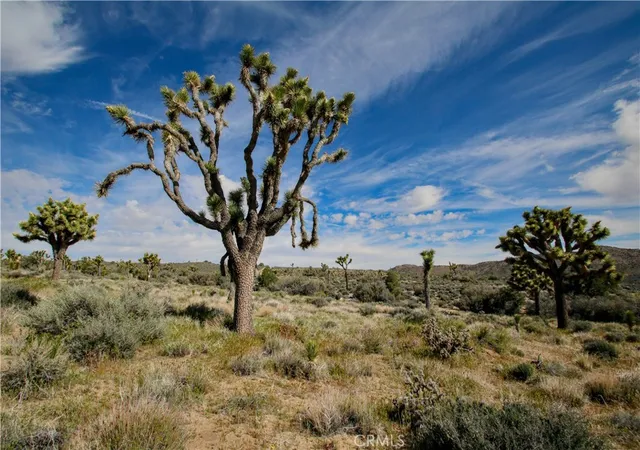 5th image of 27 Vista Rd, Pioneertown, CA 92356 | MLS# JT26086481