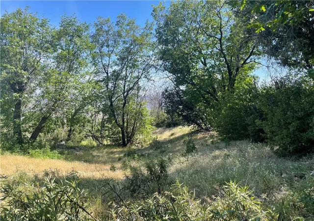 1st image of 363 Raccoon Rd, Berry Creek, CA 95916 | MLS# OR26086906