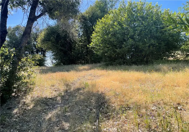 Photo 4 of Land for sale at 363 Raccoon Rd, Berry Creek, CA 95916 | MLS# OR26086906 | Listing updated on 2026-05-25