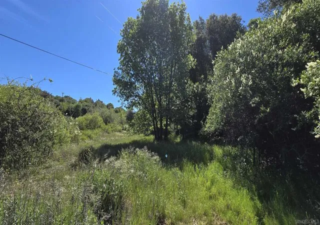 16th image of 38 Creek Rd, Julian, CA 92036 | MLS# 260009665SD