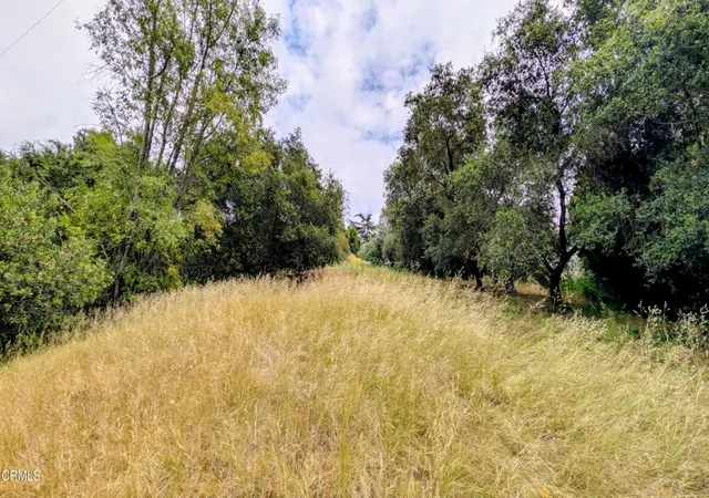 Photo 3 of Land for sale at 3530 N Knoll Dr, Los Angeles, CA 90068 | MLS# P1-26794 | Listing updated on 2026-06-29