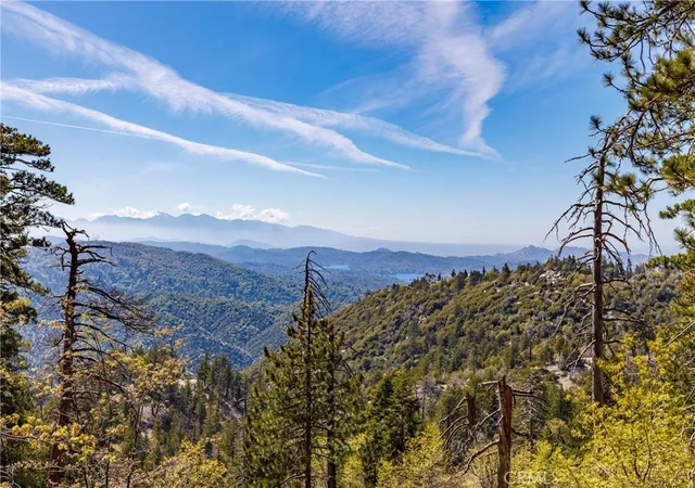 24th image of 33481 Weeping Willow, Green Valley Lake, CA 92341 | MLS# IG26088982
