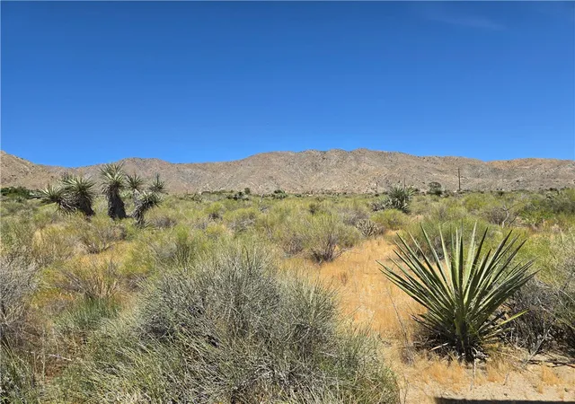 3rd image of 5 Apache, Morongo Valley, CA 92256 | MLS# JT26089077