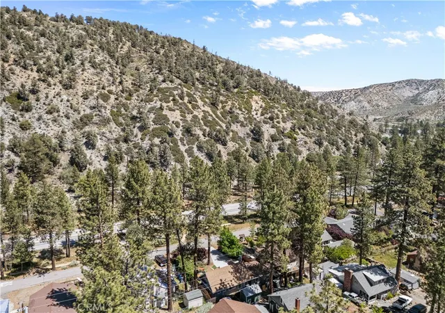 32nd image of 1869 Outer Hwy 2 S, Wrightwood, CA 92397 | MLS# HD26086882