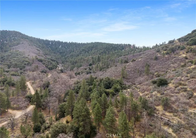 2nd image of 0 Apn#325 102 02, Alpine Forest, CA 93561 | MLS# SR26089506