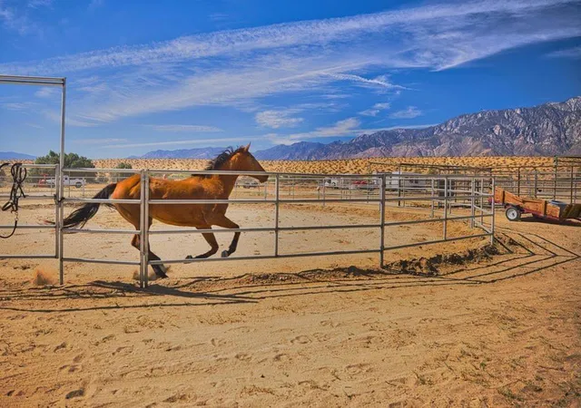 Photo 2 of Single family home for sale at 20555 Mountain View Rd, Desert Hot Springs, CA 92241 | MLS# 219146914DA | Listing updated on 2026-04-30