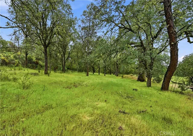 Land for sale at 19894 Black Bass Pass, Lower Lake, CA 95457 | MLS# LC26088681