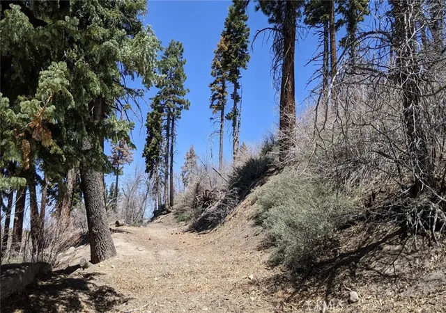 5th image of 0 San Antonio Dr, Green Valley Lake, CA 92341 | MLS# CV26090003