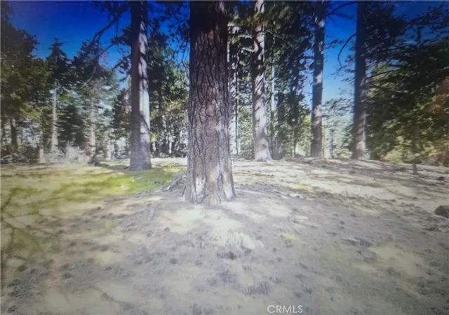 Homes for sale in Pine Cove, CA | 0 Pine Ridge Rd, Pine Cove, CA 92548 | MLS# SW26079878