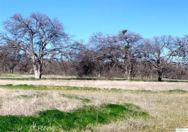 13th image of 0 Monroe, Red Bluff, CA 96080 | MLS# SN26090363